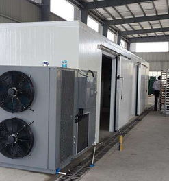 河北鑫鹏XP 985空气能挂面干燥机 节能环保